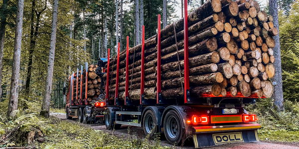 DOLL France LOGO pour le transport combiné de bois en forêt chargé de troncs d'arbres
