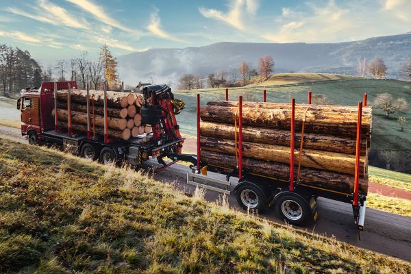 Truck with DOLL central axle trailer drives along a narrow country road between meadows and fields at dawn