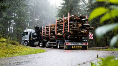 A silver logging truck with a loaded trailer drives on a rain-soaked road through a foggy forest.